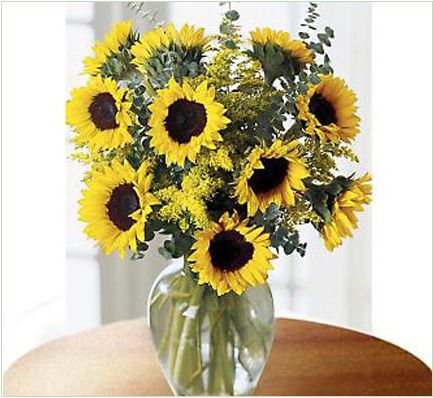 sunflowers language