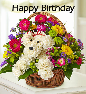 http://chinaflowers.net/blog/wp-content/uploads/2012/05/happy_birthay_message.jpg